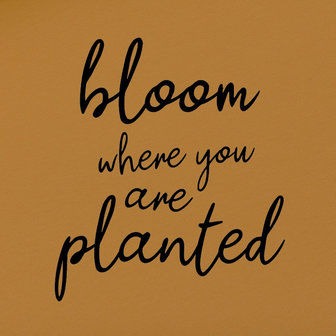 Applicatie flex - Bloom where you are planted