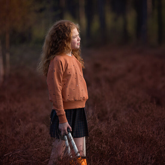 Boordstof - Playtime Autumn leaf brown-3