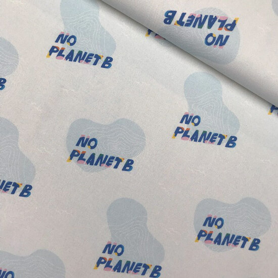 Canvas - No planet B blue-2