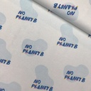 Canvas - No planet B blue-2