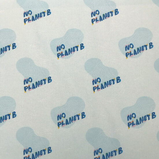 Canvas - No planet B blue-3