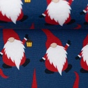 Jersey - Kerstkabouters met lantaarn-3