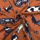 Katoen - Spelende poezen op bruin-2