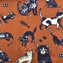 Katoen - Spelende poezen op bruin-3