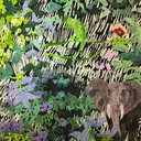 Katoen gemerceriseerd - Olifant in de jungle-2