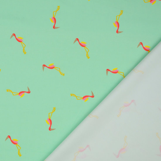 Lycra - Flamingo op munt achtergrond-3