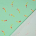 Lycra - Flamingo op munt achtergrond-3