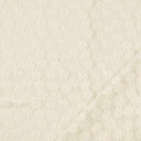 Mesh - Geborduurd bloempje gebroken wit-2