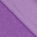 Teddy -  Lilaroze 686-2