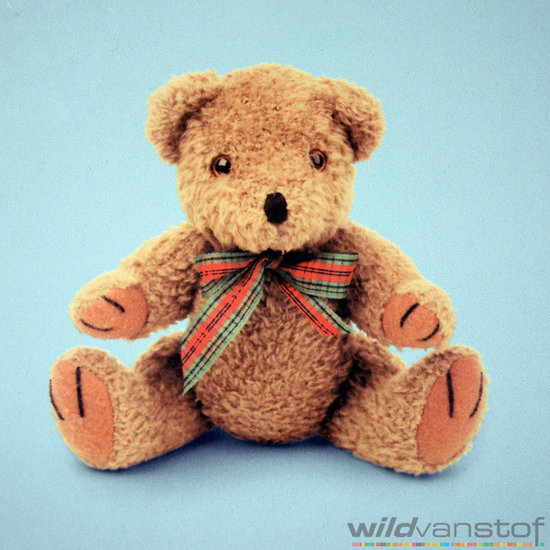 Verduistering beren op blauw-2