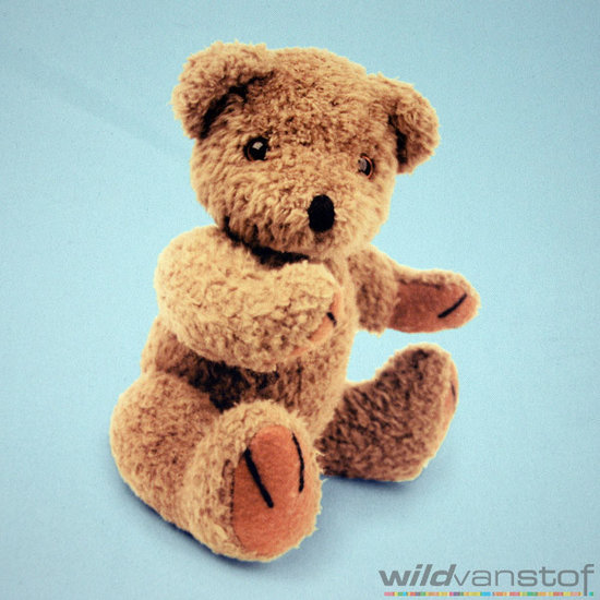 Verduistering beren op blauw-3