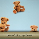 Verduistering beren op blauw-4