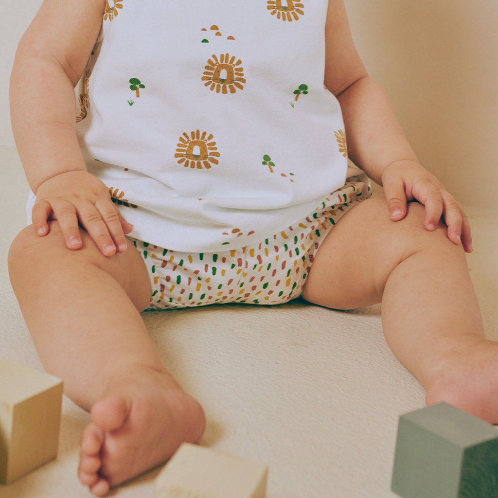 Jersey - Afrikaanse leeuw & steppe