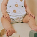 Jersey - Afrikaanse leeuw & steppe