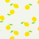 Tetra - Citroen wave