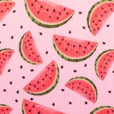 Rib jersey - watermelon parts