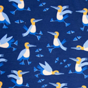 Jersey - Blauwvogel met blauwvoet