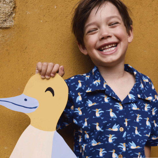 Jersey - Blauwvogel met blauwvoet