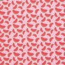 Rib jersey - watermelon parts