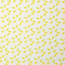 Tetra - Citroen wave