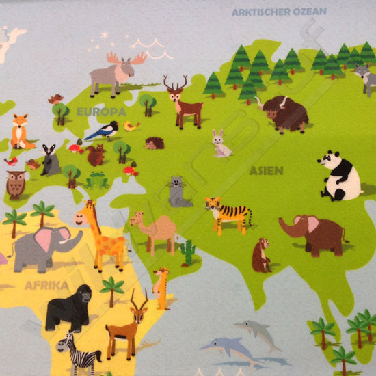 Vilt - Speelmat wereldkaart