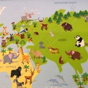 Vilt - Speelmat wereldkaart