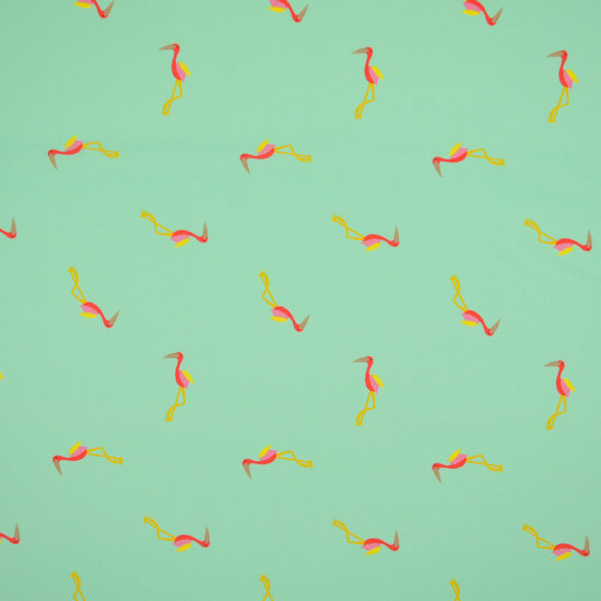 Lycra - Flamingo op munt achtergrond