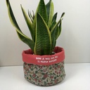 Stoffenpakket - Plantenzakje roze