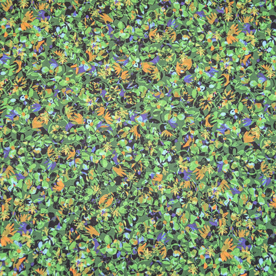 Katoen - drone jungle view 