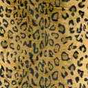 Carnaval - Pels luipaard bruin