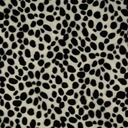 Carnaval - Pels dalmatier wit zwart