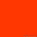 Flockfolie - Fluo oranje