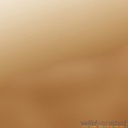 Flex folie - Glans goud 4212