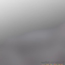 Flex folie - Glans zilver 4213