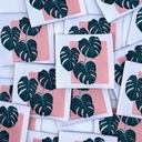 Label - Monstera plant roze  (5 stuks)