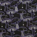 Katoen - Spinnen, katten en paddenstoelen