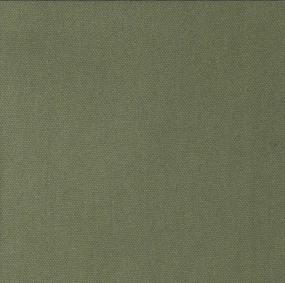 Canvas - Noors groen