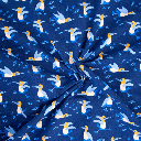 Jersey - Blauwvogel met blauwvoet