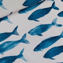 French terry - Playtime phishies