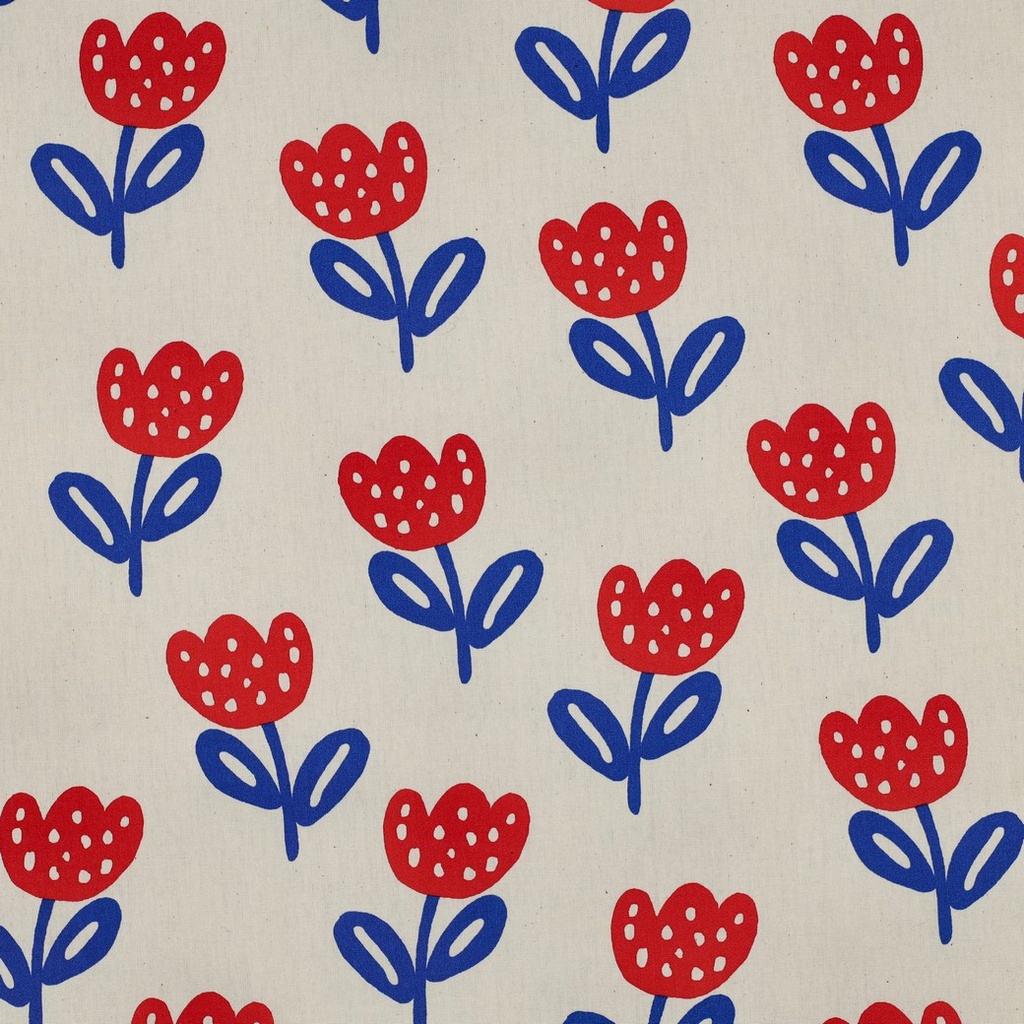 Katoen - Primary bloom