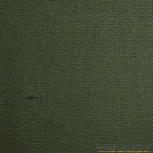Canvas - dennegroen 28