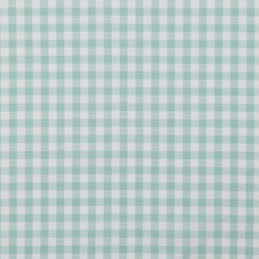 Katoen - vichy ruit munt (10mm)