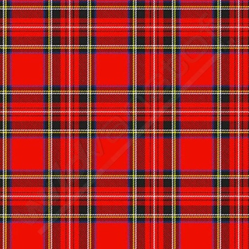 Lycra - schotse ruit rood