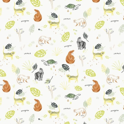 Katoen - apen en schildpadden