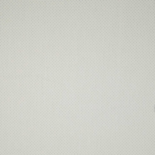 Broderie - wit geperforeerd stipje