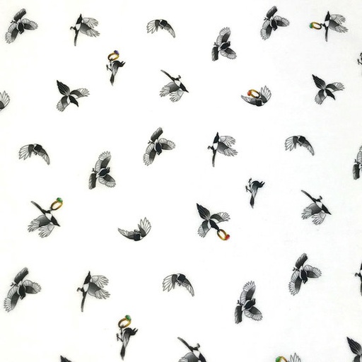 Katoen - hemdenstof vogeltjes met ring