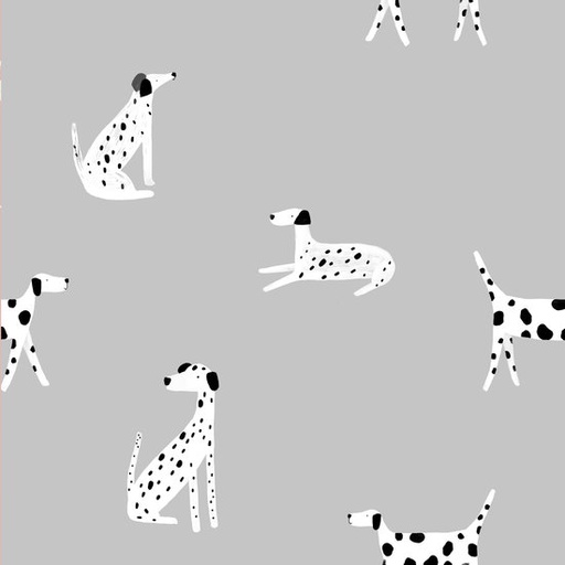 Softshell - Stiphonden op grijs