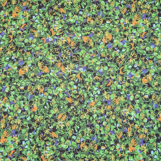 Katoen - drone jungle view 