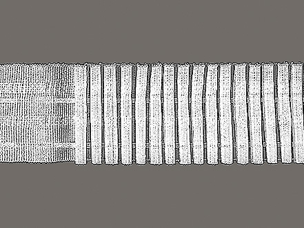 Fronslint 30mm - Wit