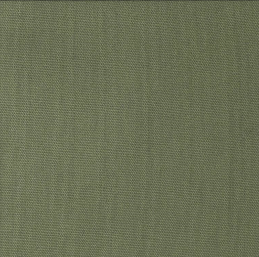 Canvas - Noors groen